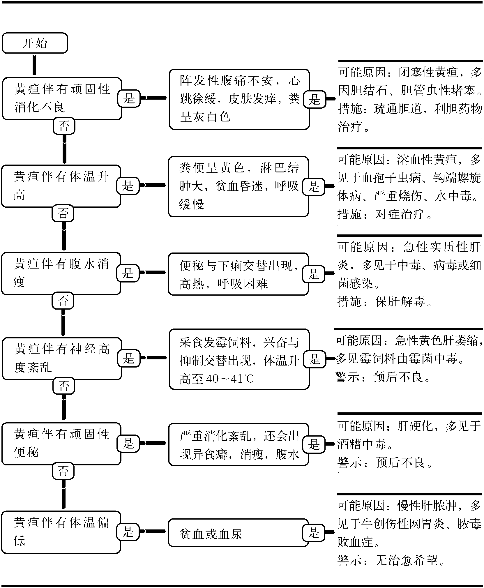 17.黃疸